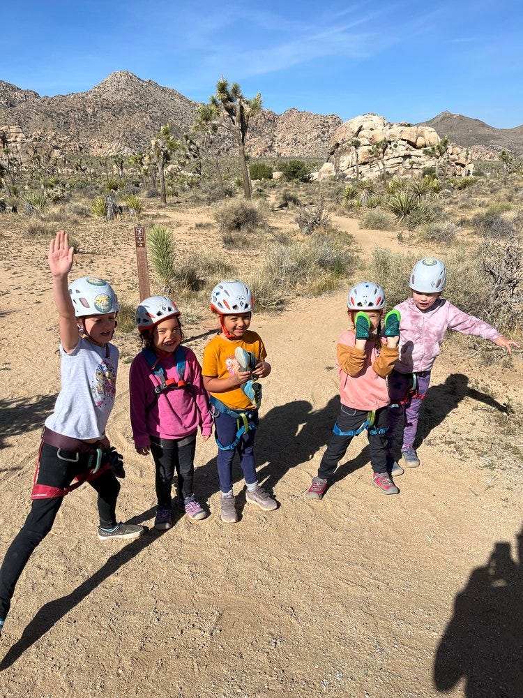 Rock Climbing Tour Joshua Tree Lizard Joshua Tree lizard Medium