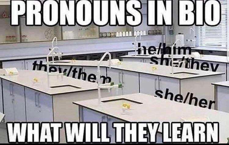 ‘Pronouns in Bio’ meme: what will we learn? | by Stu Hatton | Medium