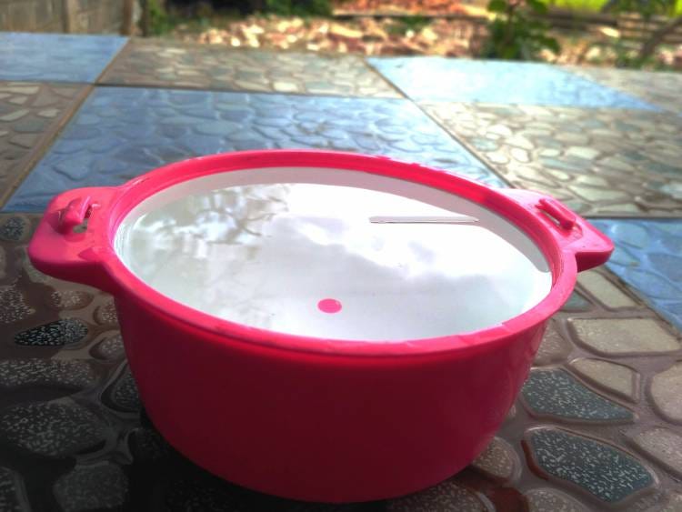 Why does a needle or paperclip float on the surface of the water if it