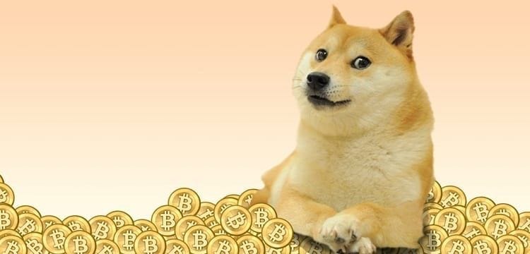 doge meme studying