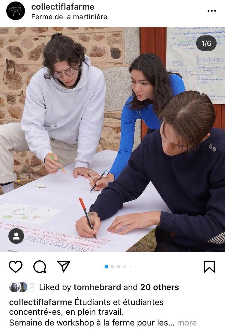 Cliquer sur les images pour accéder aux publications Instagram
