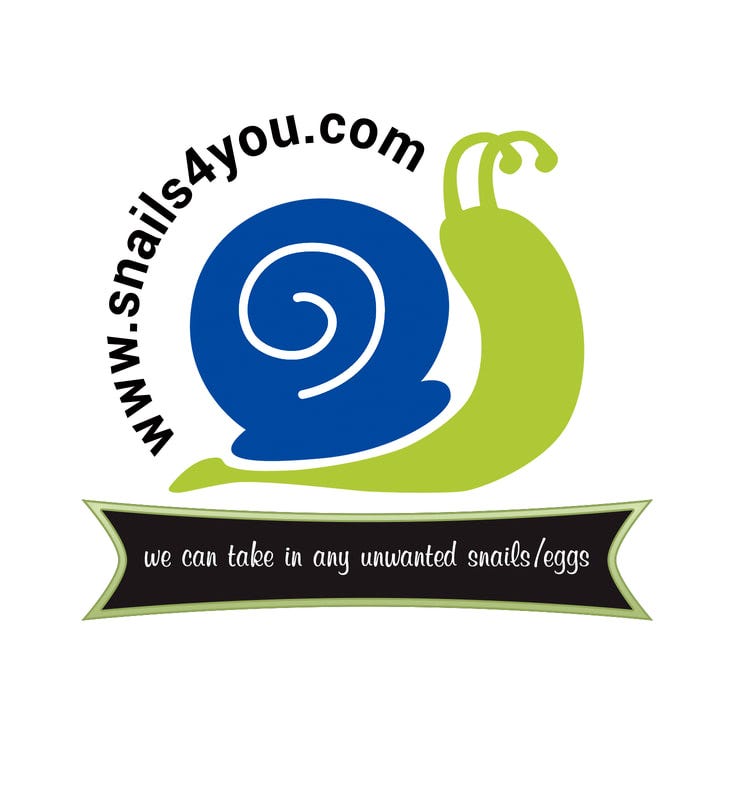 Buy Snail Tips. Land snails for sale by snails4you7 Dec, 2023 Medium