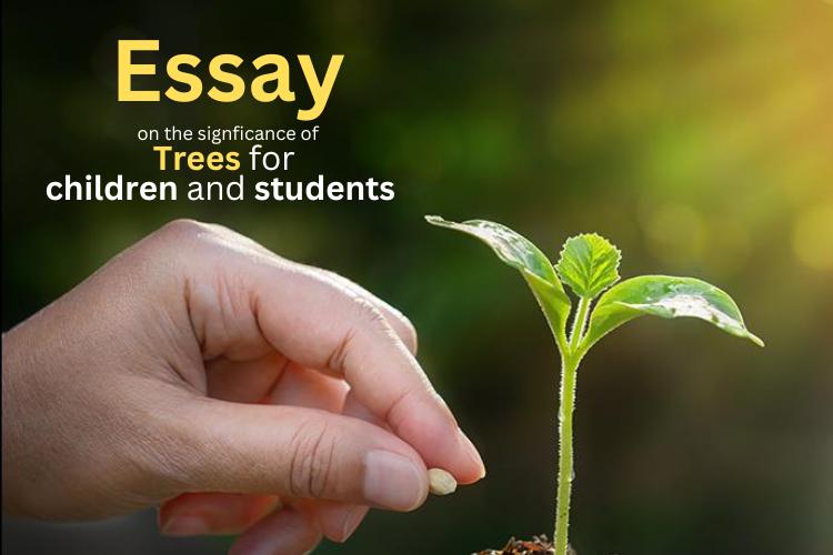 Value of Trees Essay in English. Value of Trees Essay in English Trees