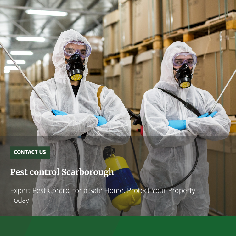 Pest control Scarborough. Over the years, Integrated Pest… by SEO