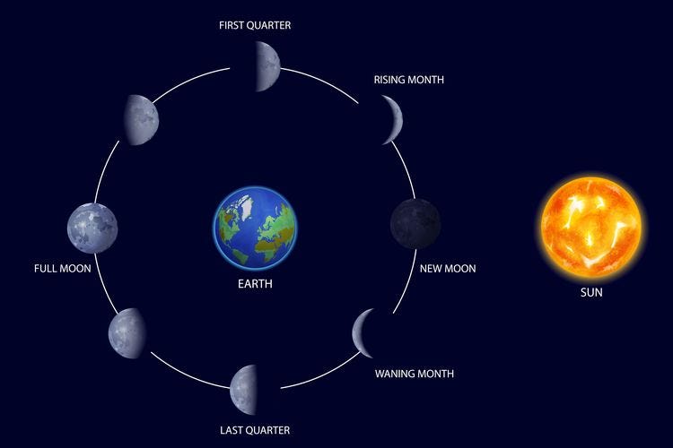 Kuartal 3 2024 Bulan Apa Pauly Betteann