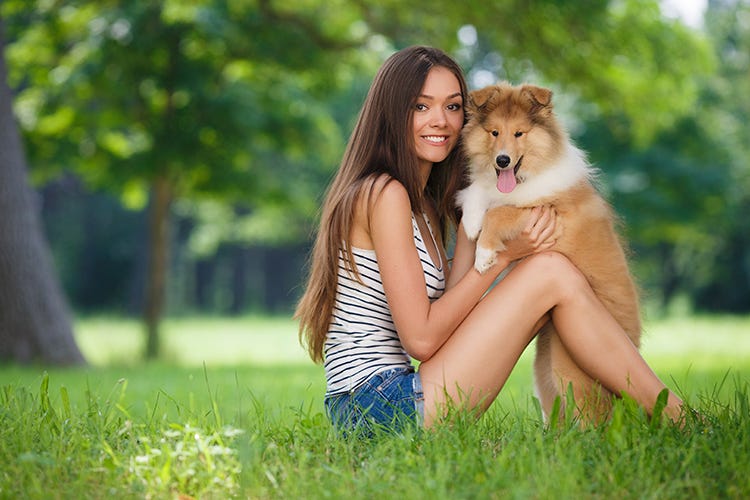 Do Pet Sitters Need to be Bonded? by Pet Care Insurance Medium