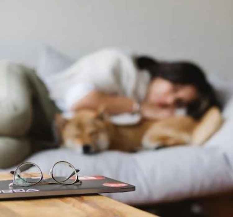 Why Do we Sleep. Sleep is a fundamental and essential… by aicha