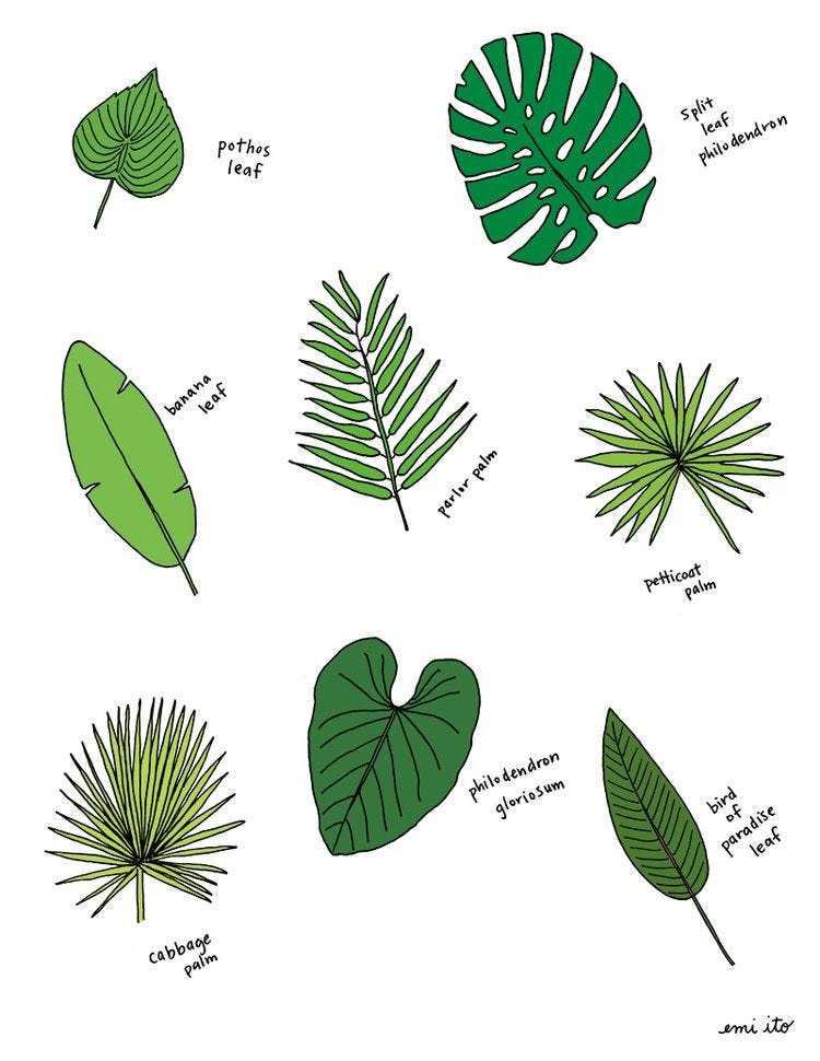 Palm is Having a Moment. As a creator of custom event decor, I… | by  Melissa Grounds | Medium