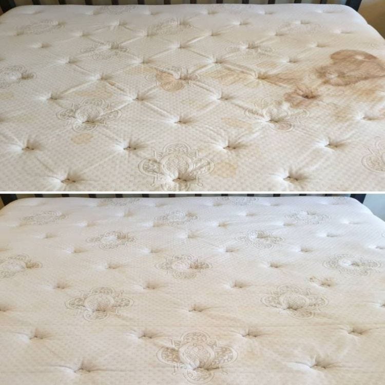 Rest Easy The Ultimate Guide to Mattress Cleaning by My Steam Carpet
