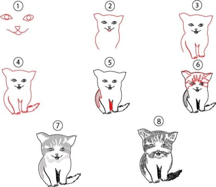 Cat Drawing. We know that everyone searches for easy… by cool drawing