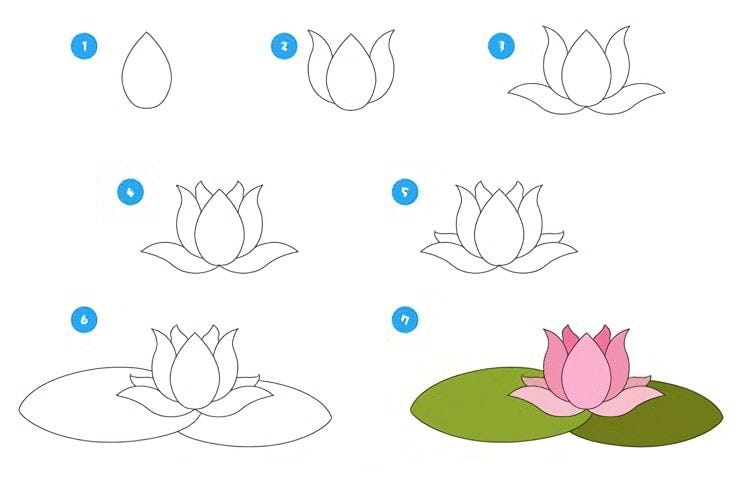 Lotus Flower Drawing. The lotus flower drawing can be a good… by cool