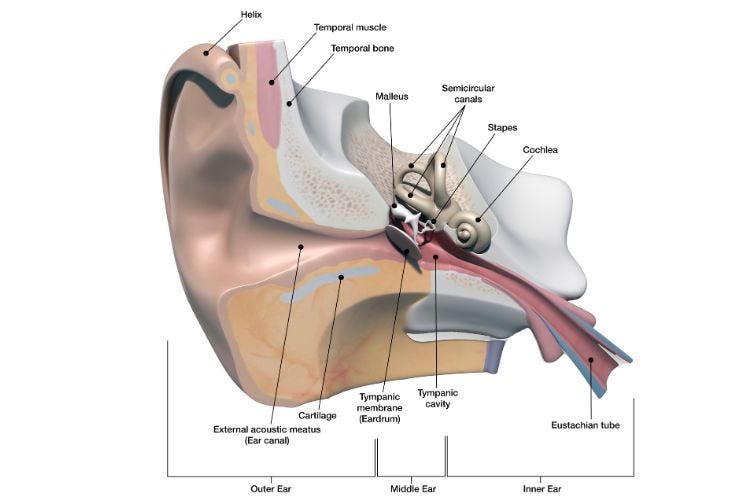 Some Common and Uncommon diseases of the ear