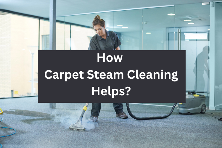 Carpet Steam Cleaning to Eliminate Dust Mites by Expertcarpetsydney