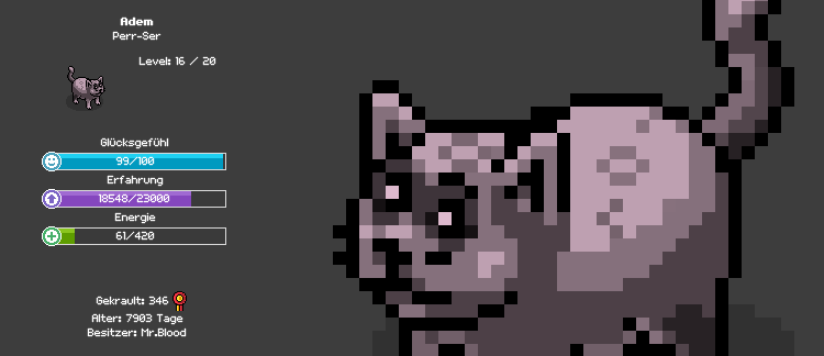 Die älteste Katze im deutschen Habbo Hotel