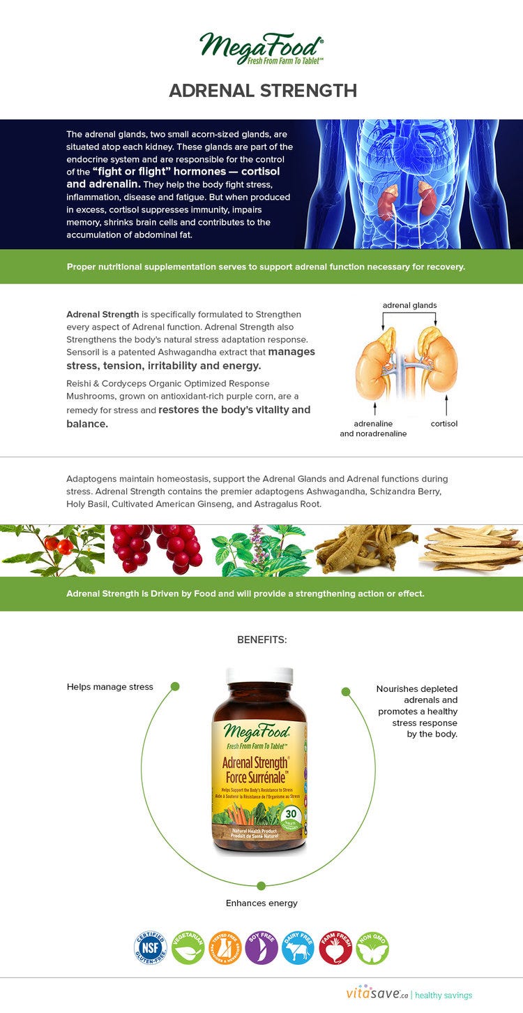 MegaFood Adrenal Strength Can Restore Your Adrenal Gland Functions and