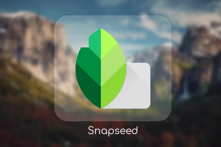 Tải ứng dụng Snapseed Pro APK (Mở Khóa Premium, Mod Việt Hóa) by