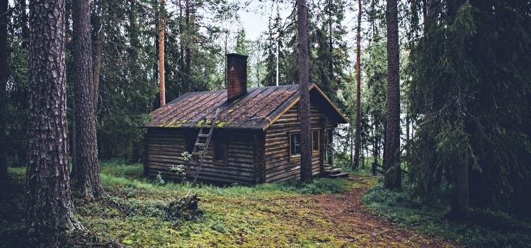 Thoreau Lived In The Woods For 2 Years to Escape This