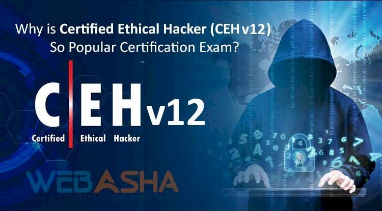 hacker training institute