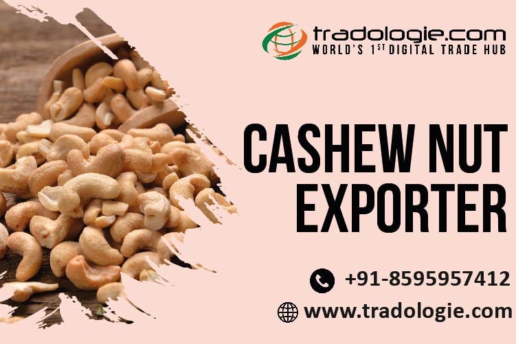 Cashew Nut Exporters Tradologie Medium