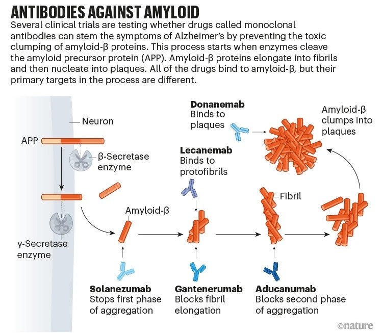 The Amyloid Hypothesis to Describe Alzheimer’s Disease an Explanation