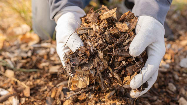Green Growth: Composting and Natural Fertilizers