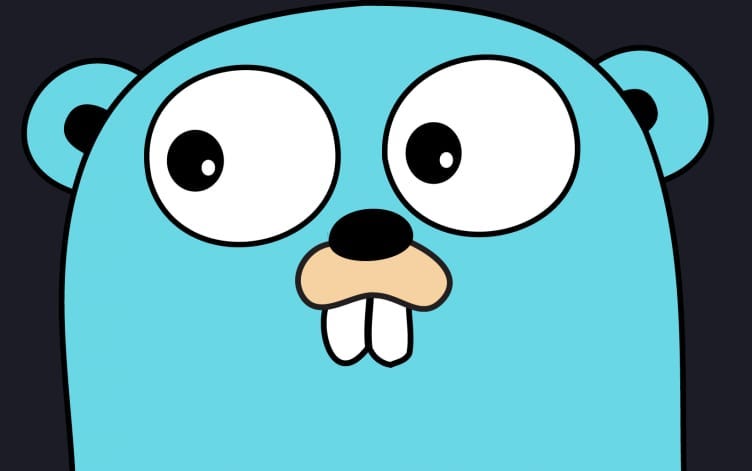 Let’s Golang. The greatest practice for someone… | by Shive& Singh ...