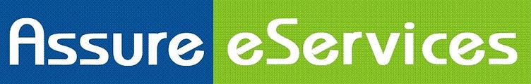 Assure eServices Inc.