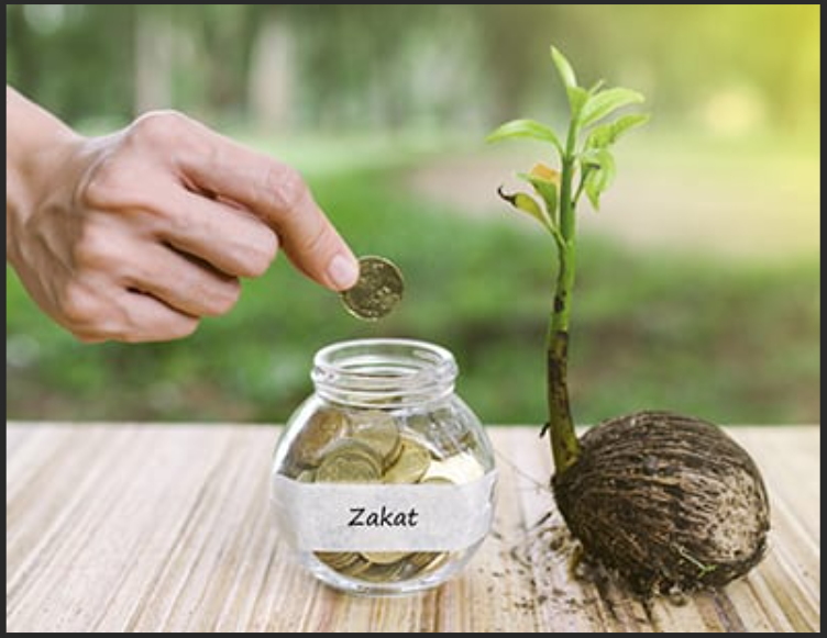 ZAKAT Word Zakat is an arabic word which means to purify, to develop