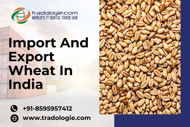 Import and export wheat in India Tradologie Medium