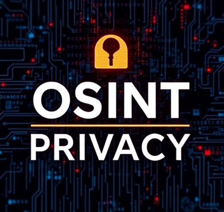 Protect Your Privacy Essential OSINT Tools for Safety by