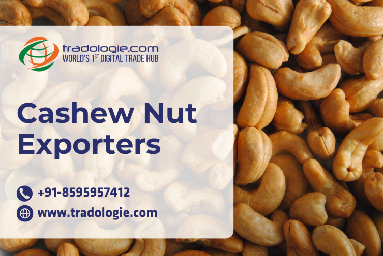 Cashew Nut Exporters Tradologie Medium