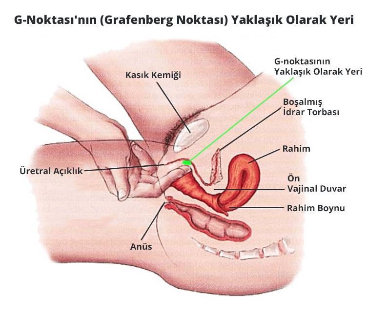 Kadınlarda G Noktası Nerede?