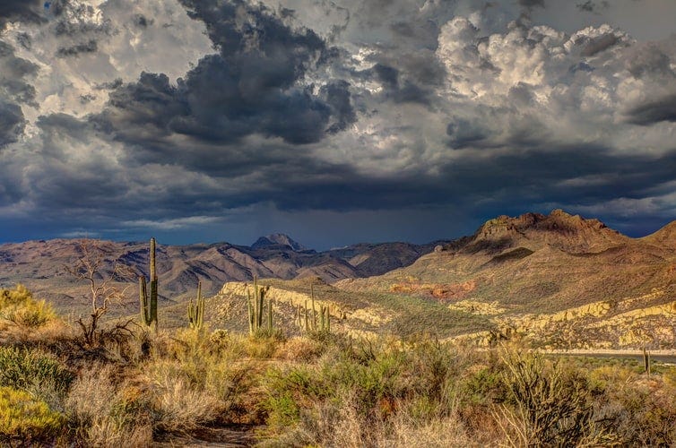 Tripping On Peyote In The Arizona Desert | by Raisa Nastukova 