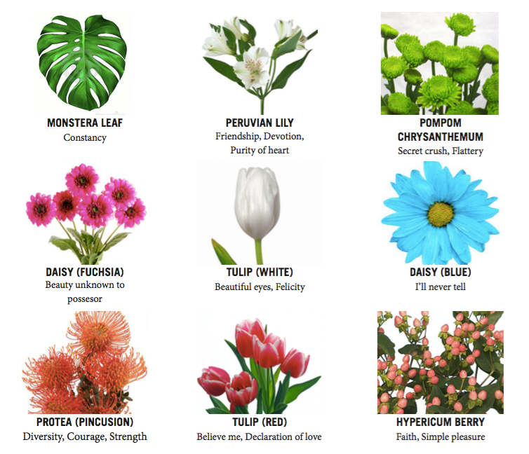 Flora and Letters Invoking the Victorian Language of Flowers by