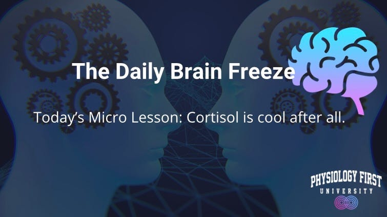 Cool Real Brain Pictures