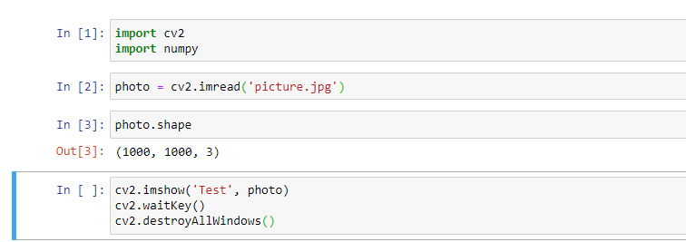 Drawing, Cropping and Collage making using Python code | by Priyansh ...