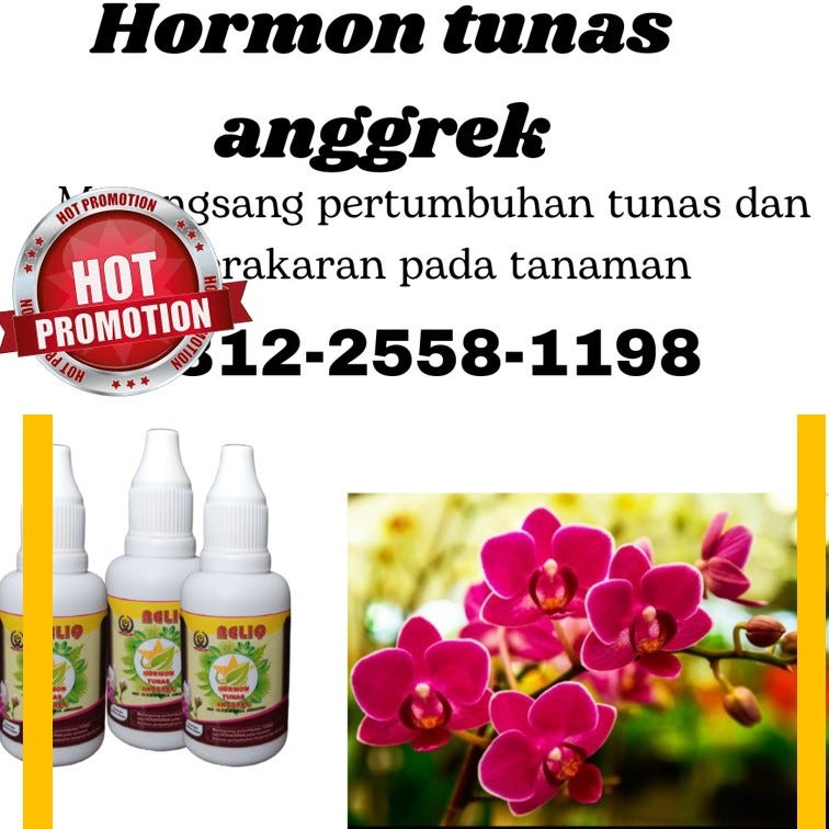 HARGA KHUSUS!