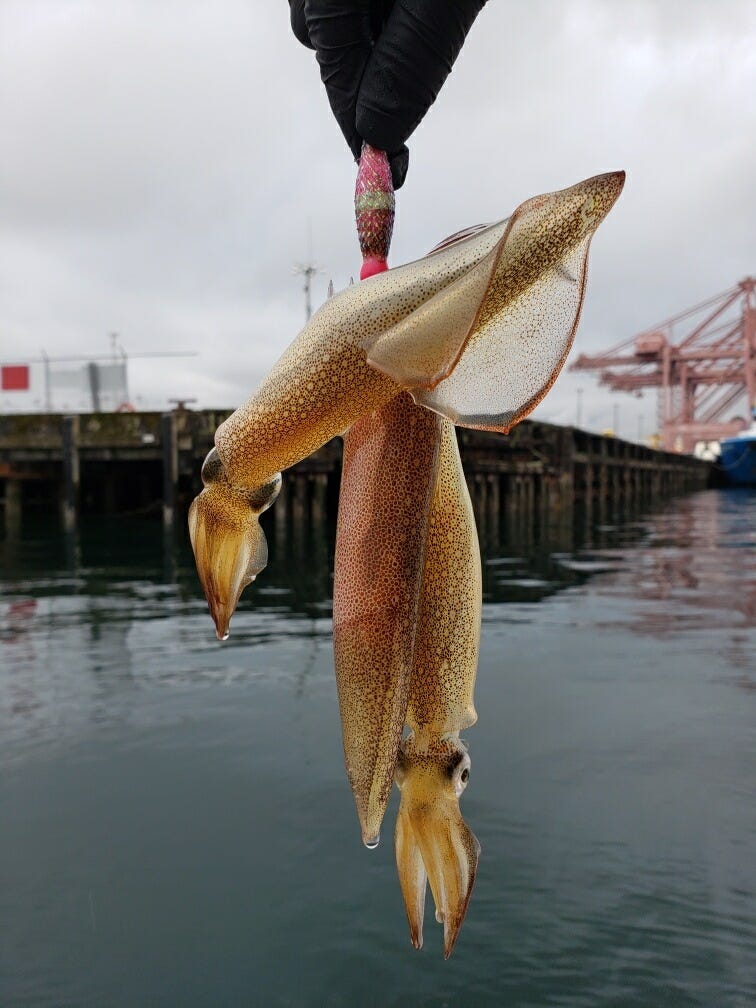 Learning to fish in Oregon under the coronavirus pandemic rules