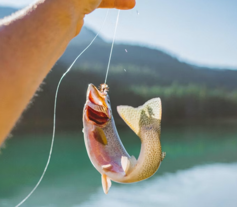 Fishing and Father's Day. The ethical questions of teaching kids