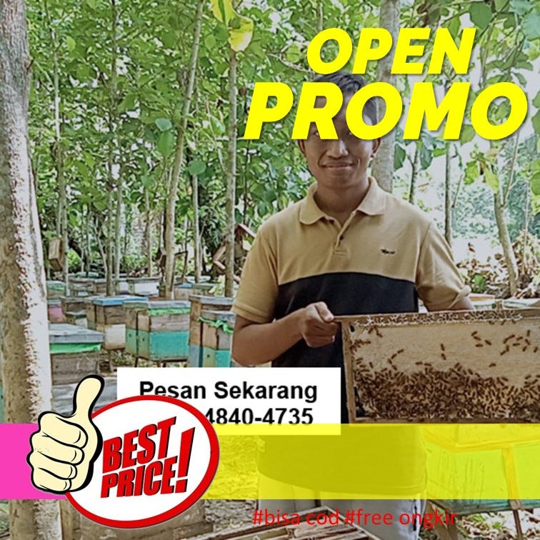 CALL 0856–4840–4735 Agen Grosir Supplier Sarang Madu Lebah Untuk Dijual