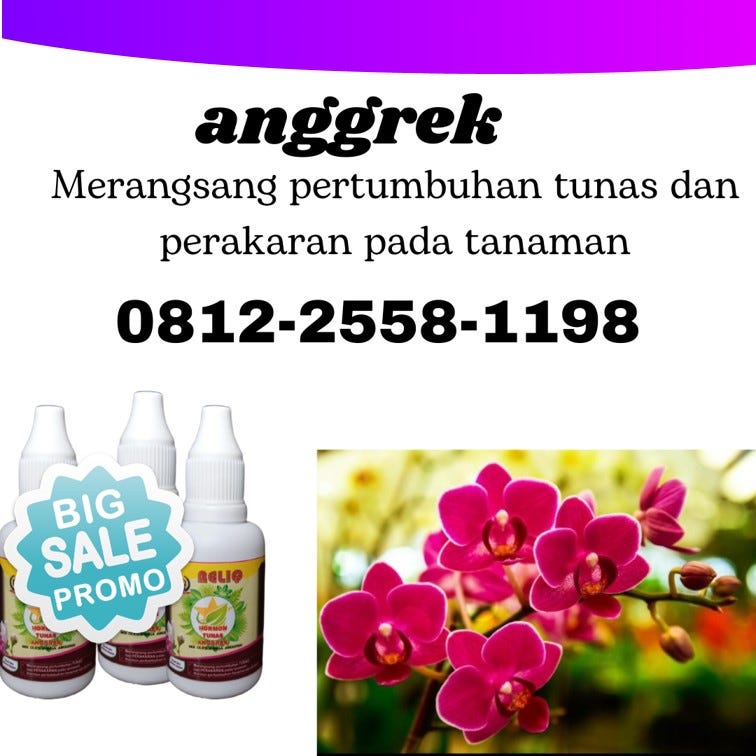 SEDANG PROMO!