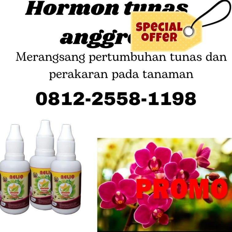 SEDANG DISKON!