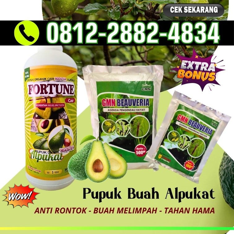 Bebas Hama 081228824834 Supplier Pupuk Booster Alpukat Tulang Bawang By Distributor Pupuk 4337