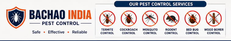The Ultimate Home Pest Inspection Checklist: 15 Warning Signs You Should Never Ignore