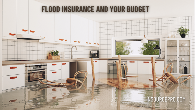 Flood Insurance and Your Budget. Flood Insurance and Your Budget | by ...