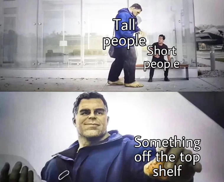 20 Short People Memes That Prove Big Laughs Come in Small Packages! -  Chameleon Memes - Medium