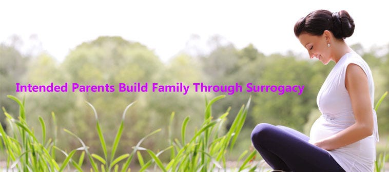 Seed ART Bank — Where Intended Parents Build Family Through Surrogacy