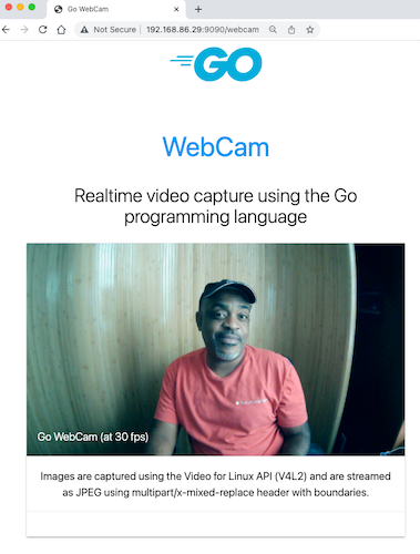 Building a webcam with the Go programming language and go4vl | by Vladimir  Vivien | Medium | go4vl