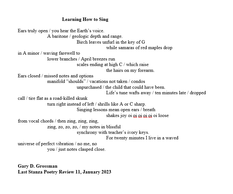 Learning how to sing this is a graphical poem but i by gary david