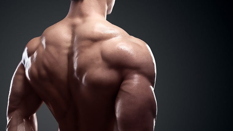 Back Exercises: 5 Best Exercises For Back Muscle, by Infotechnical